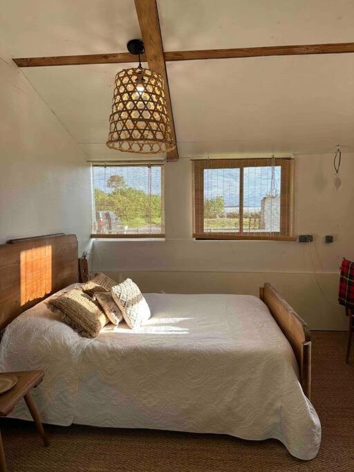 Cosy Cabane Boise Solaire, Balneo Bath Et Toilette Seche A La Ferme Mimizan-Plage Eksteriør bilde
