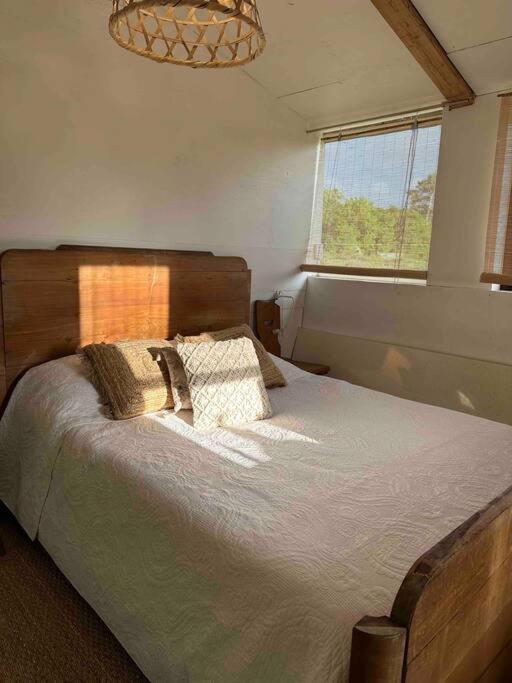 Cosy Cabane Boise Solaire, Balneo Bath Et Toilette Seche A La Ferme Mimizan-Plage Eksteriør bilde
